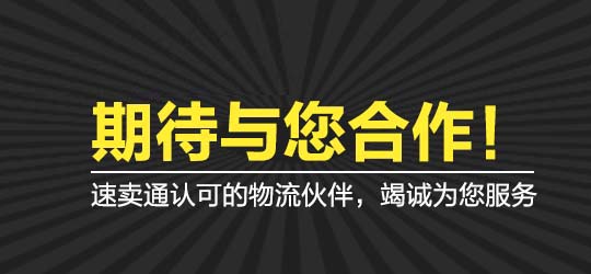 广东金羊城供应链科技股份有限公司